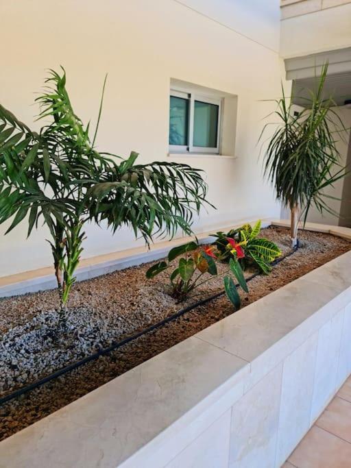 Homely Apt In Modern Building With Pool San Miguel de Abona Dış mekan fotoğraf